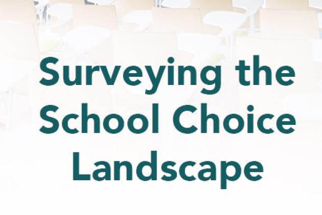 Surveying-the-School-Choice-Landscape_square.jpg