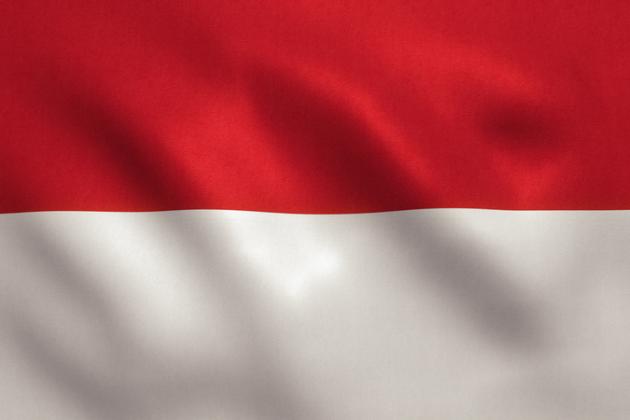 Indonesian Flag
