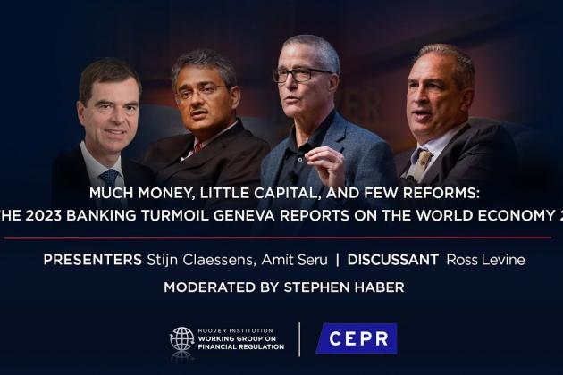 Much Money, Little Capital, and Few Reforms: The 2023 Banking Turmoil