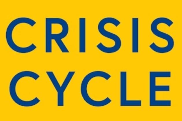 Crisis Cycle: Challenges, Evolution, and Future of the Euro