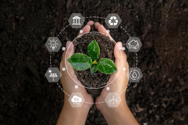environmentiStock-1413842071.jpg 