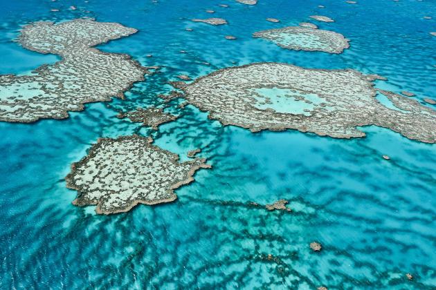 Great barrier reef australia
