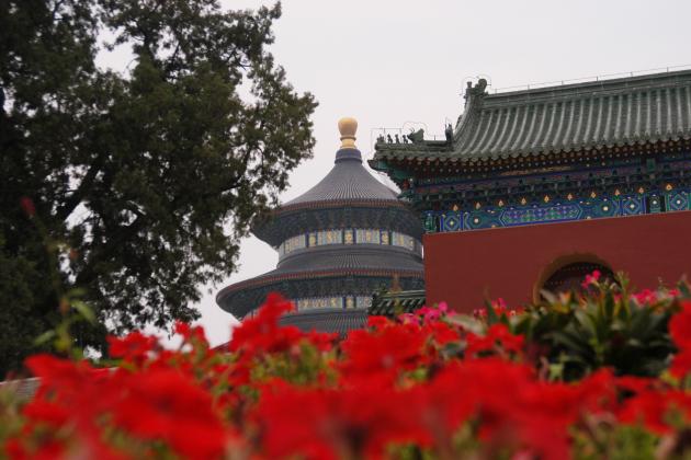 Temple of Heaven 3 - stock photo