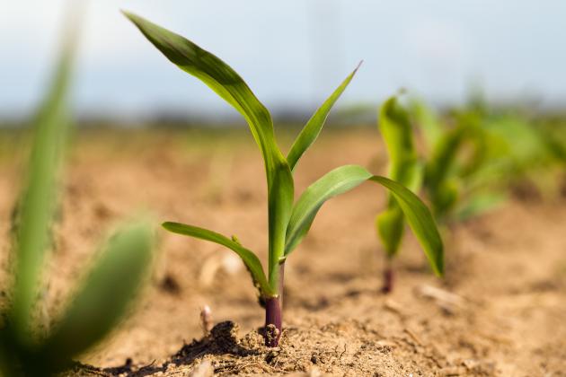 farming shutterstock  image