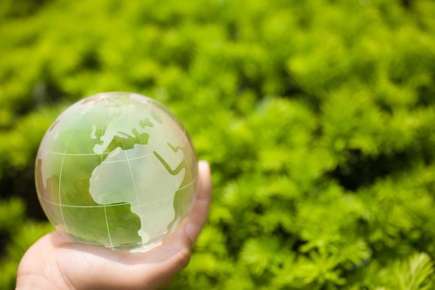 greenworld  image