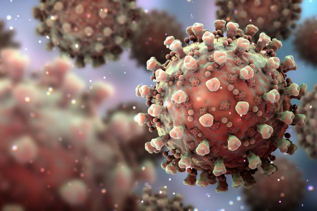Coronavirus   image