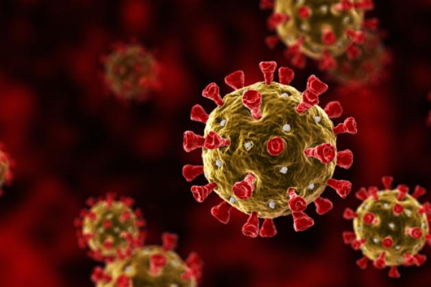 coronavirus   image