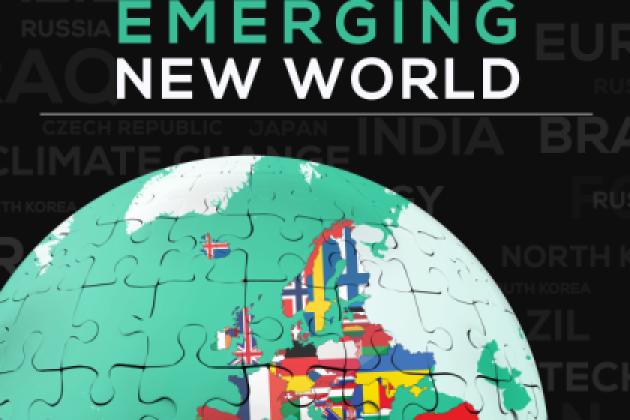 Image for Governance In An Emerging New World: Europe