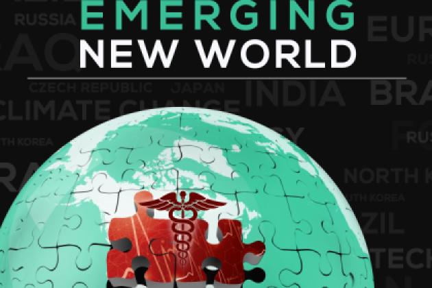 Image for Governance In An Emerging New World: Health And The Changing Environment 