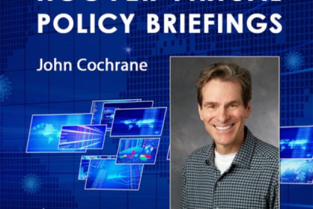 Image for John H. Cochrane on COVID-19 and the Economy | Hoover Virtual Policy Briefing