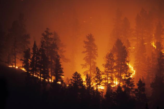 Image for California Wildfires - Crisis to Opportunity  Exploring the intersection of risks, incentives, and consequences 