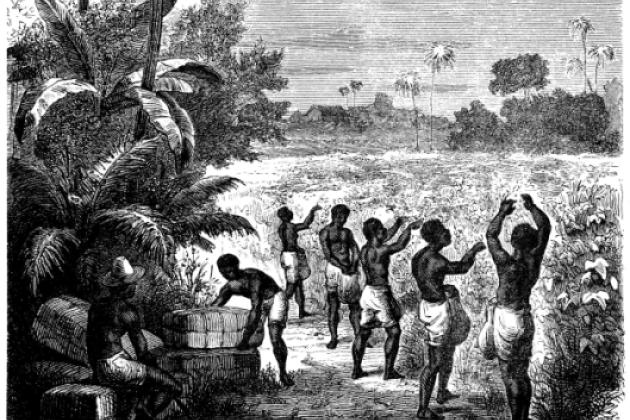 Image for Slave Prices in New York and New Jersey