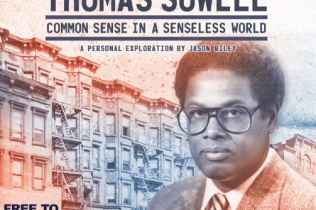 Image for Thomas Sowell: Common Sense in a Senseless World