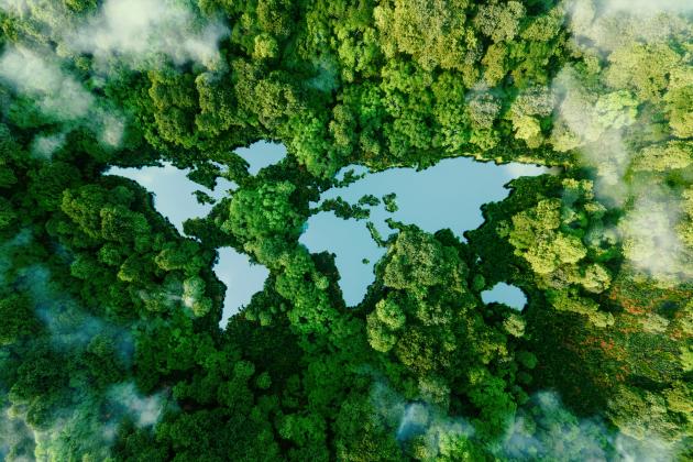 climateworld   image
