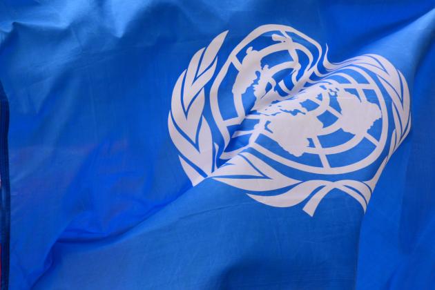 unitednations   image