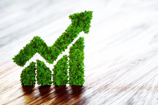 Environmental   image