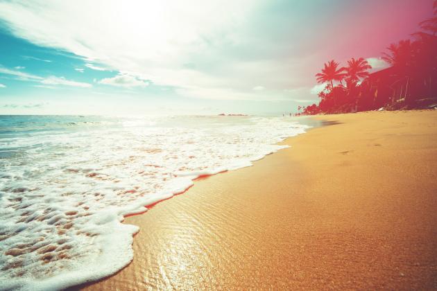 ocean   image