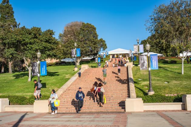 collegeucla   image