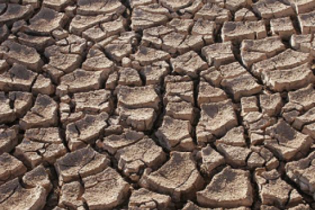 Dry ground in the Sonoran Desert, Sonora,Mexico