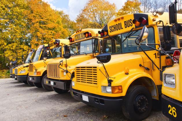 School Buses