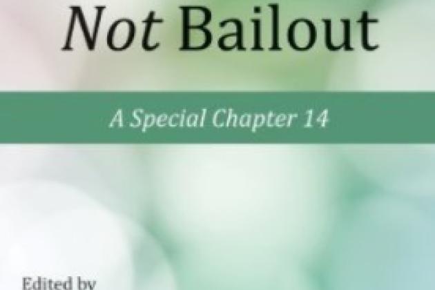 Bankruptcy Not Bailout: A Special Chapter 14