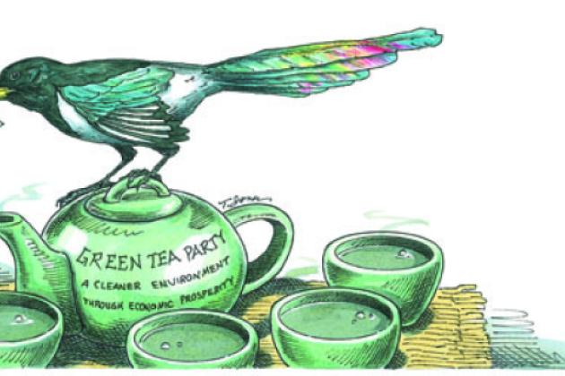 bird on teapot
