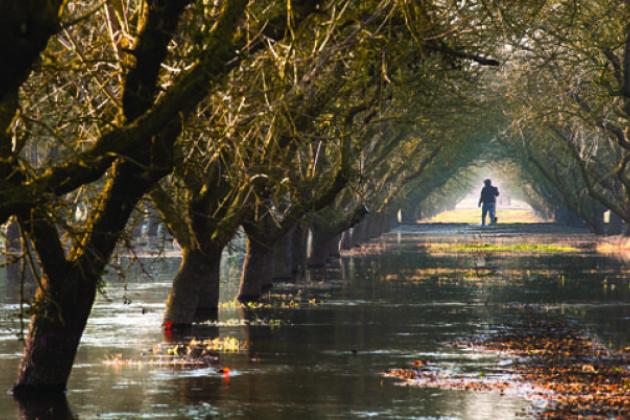 flood near Modesto in January 2012