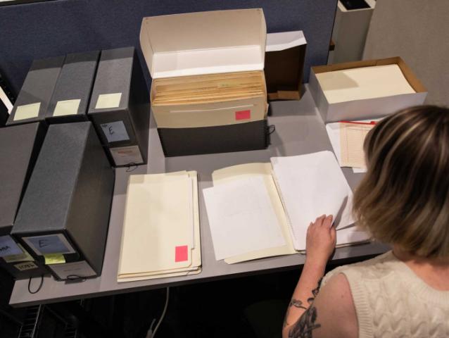 Description team member processing a collection