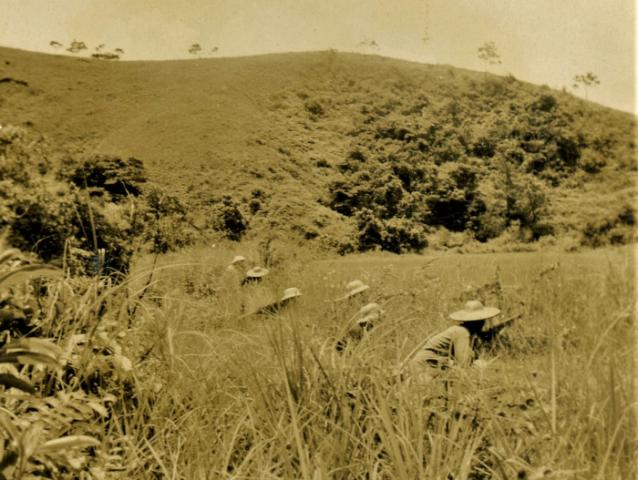 East River Column guerrilla warfare in Guangdong. Guerrillas crouching in a grassy field.