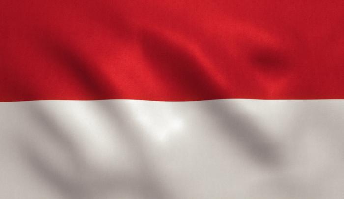 Indonesian Flag