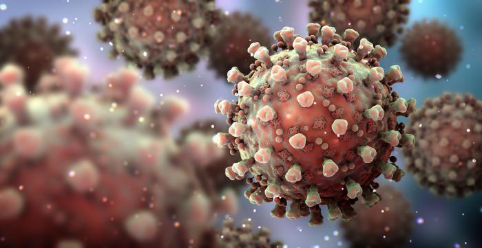 Coronavirus   image