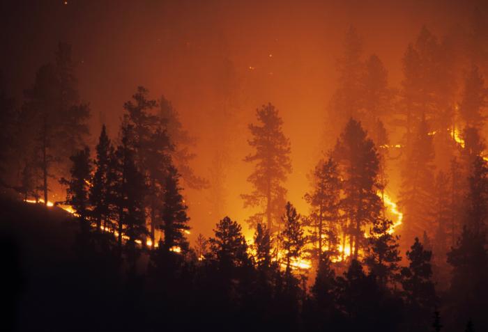 Image for California Wildfires - Crisis to Opportunity  Exploring the intersection of risks, incentives, and consequences 