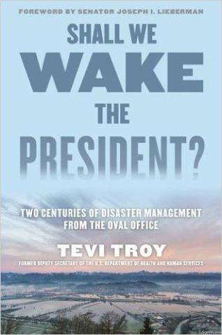 Image for The Presidential Role In Disaster Management