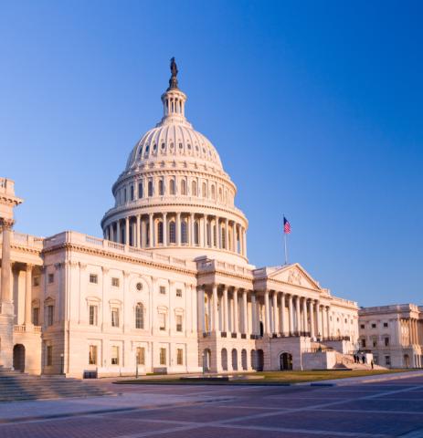 US Capitol