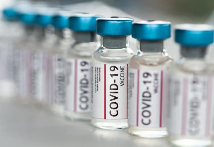 vaccine   image