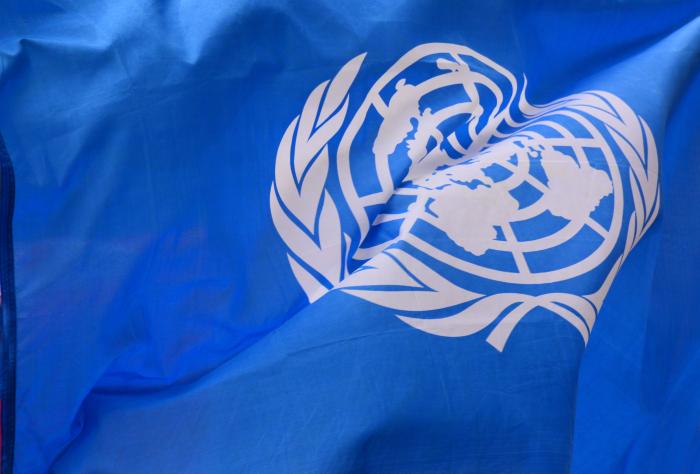 unitednations   image