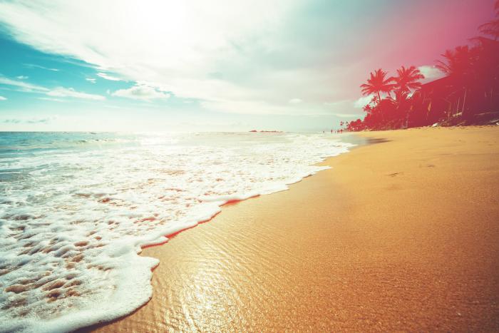 ocean   image
