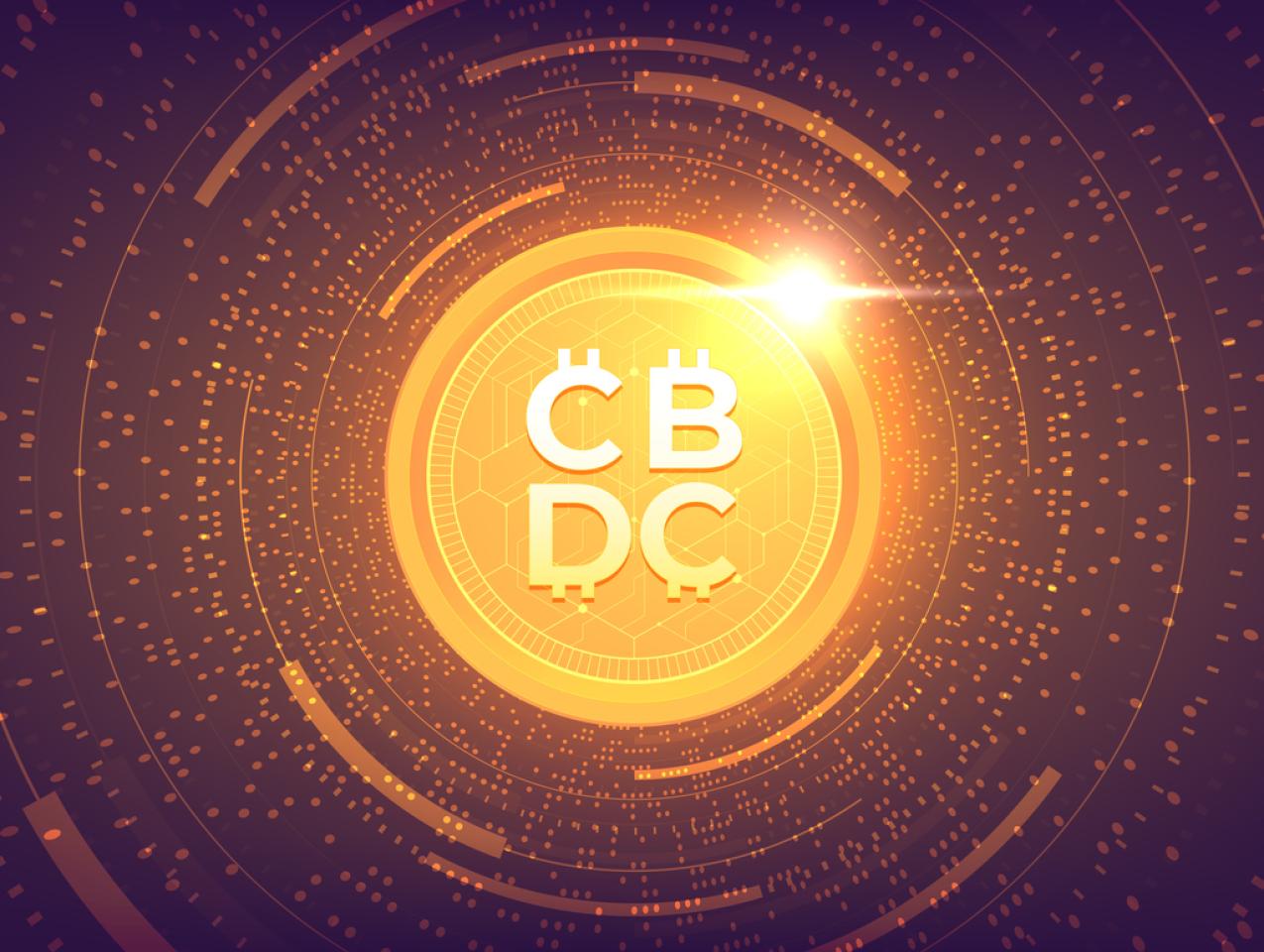 Central Bank Digital Currency