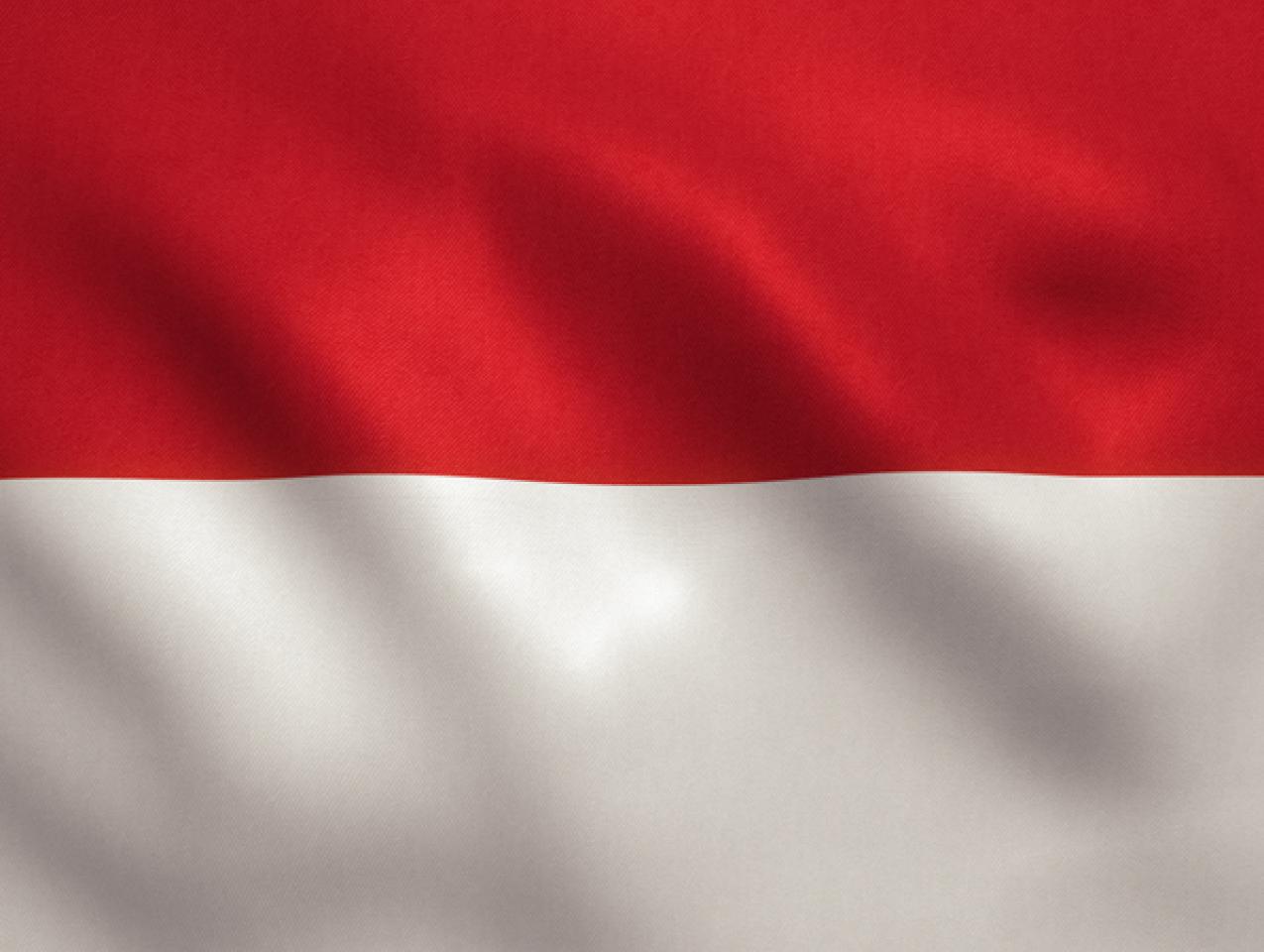 Indonesian Flag