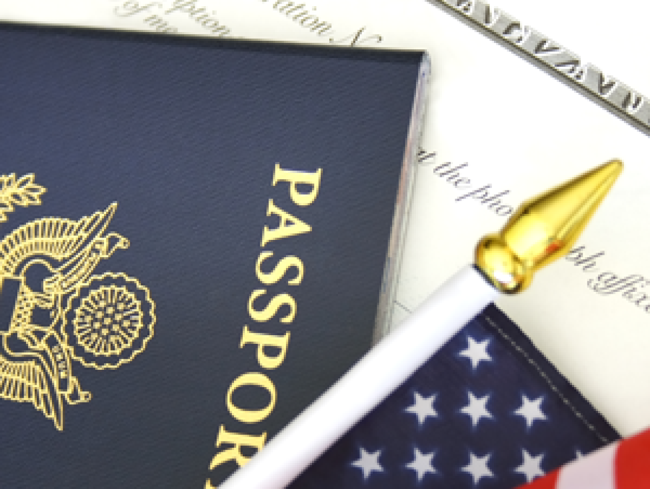Immigration image