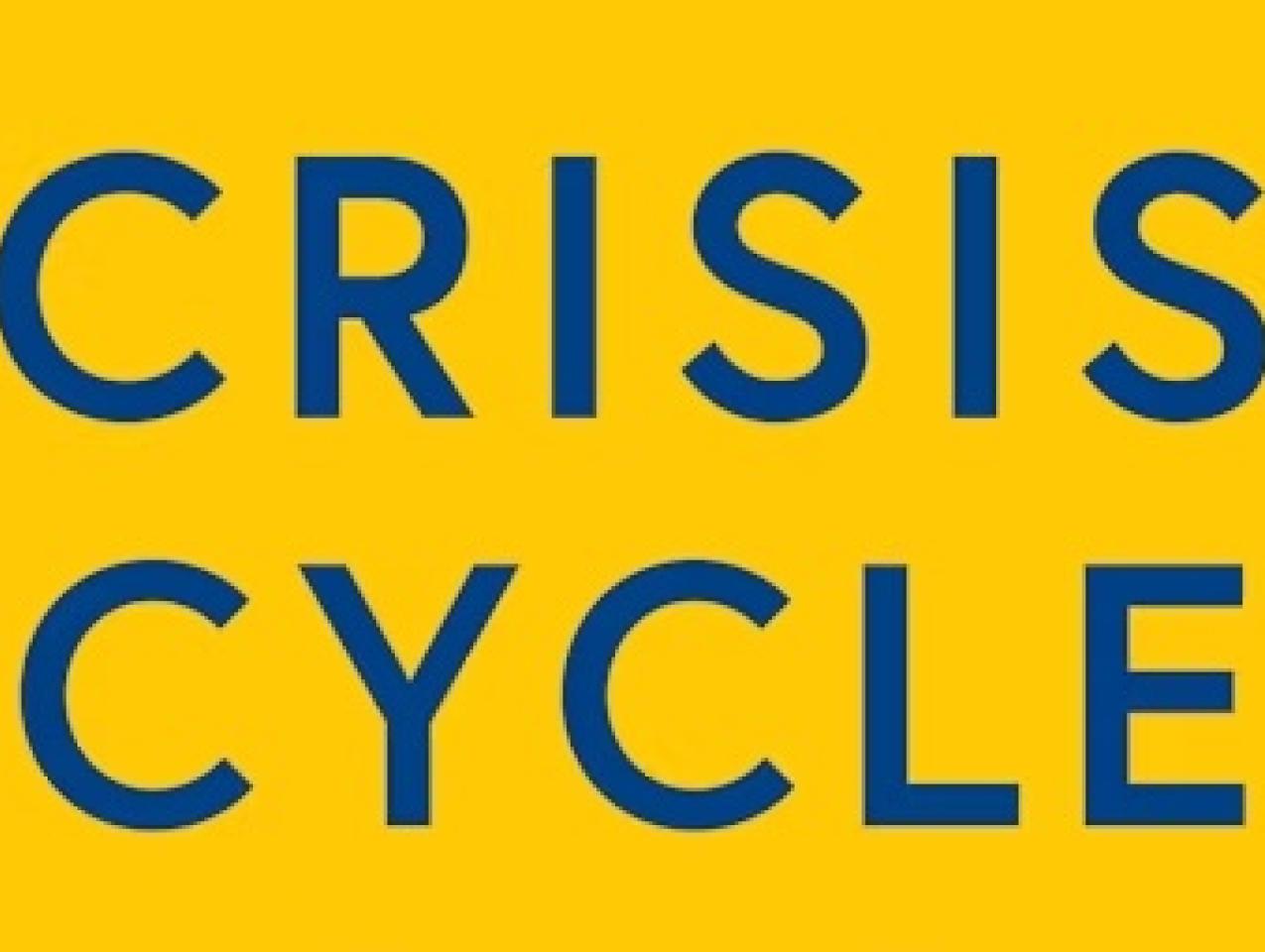 Crisis Cycle: Challenges, Evolution, and Future of the Euro