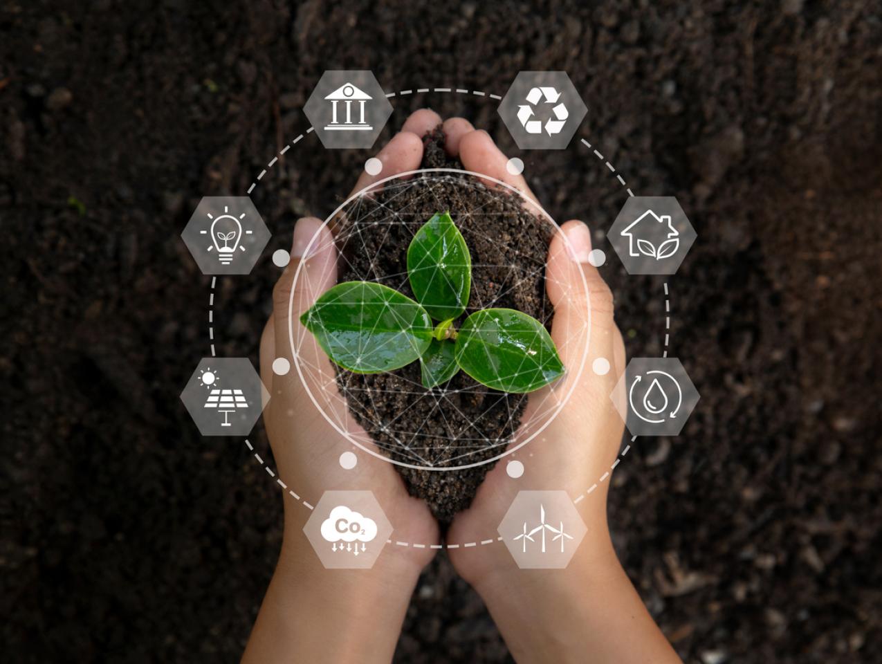 environmentiStock-1413842071.jpg 