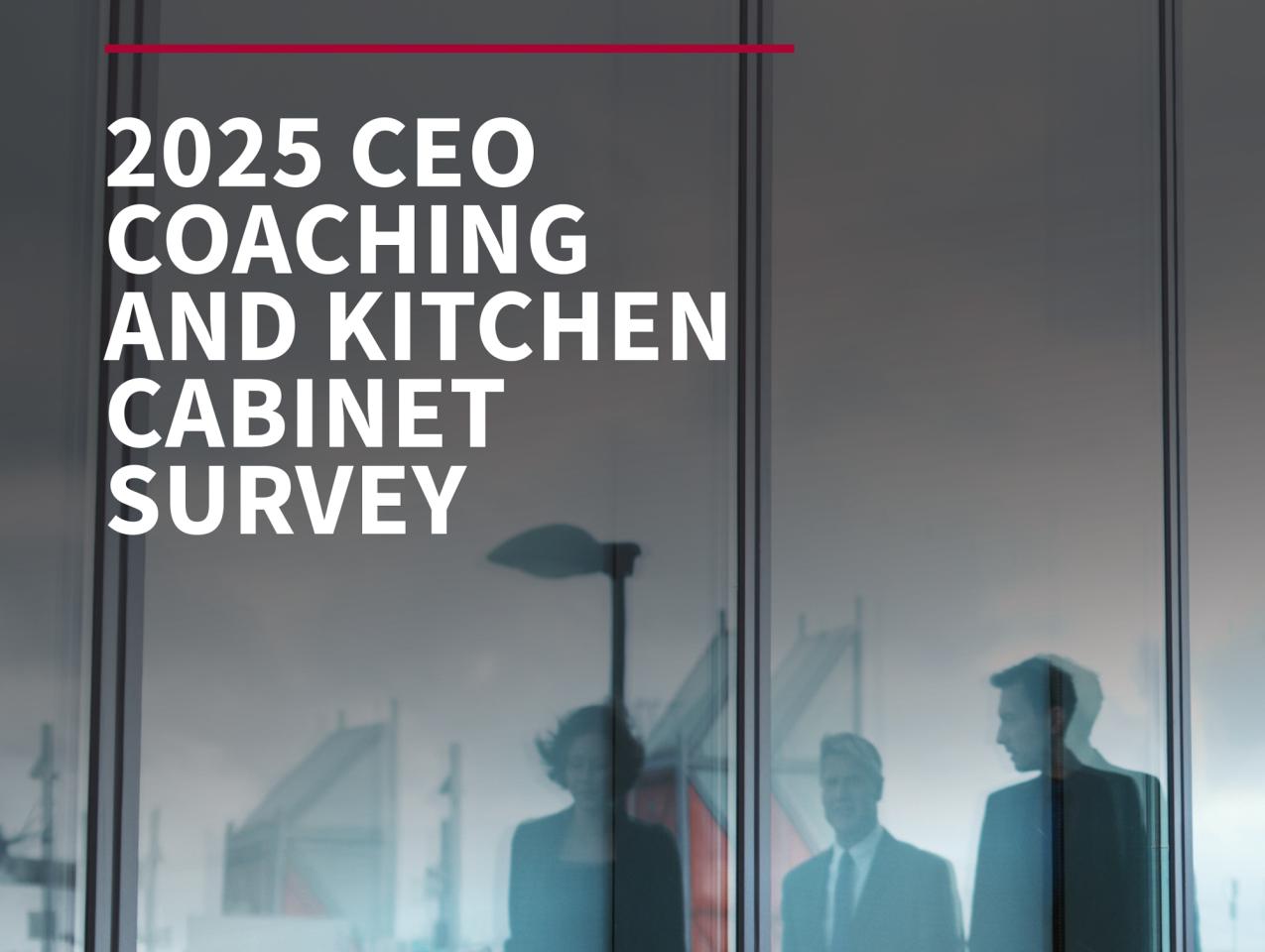 2025 CEO Coaching And Kitchen Cabinet Survey