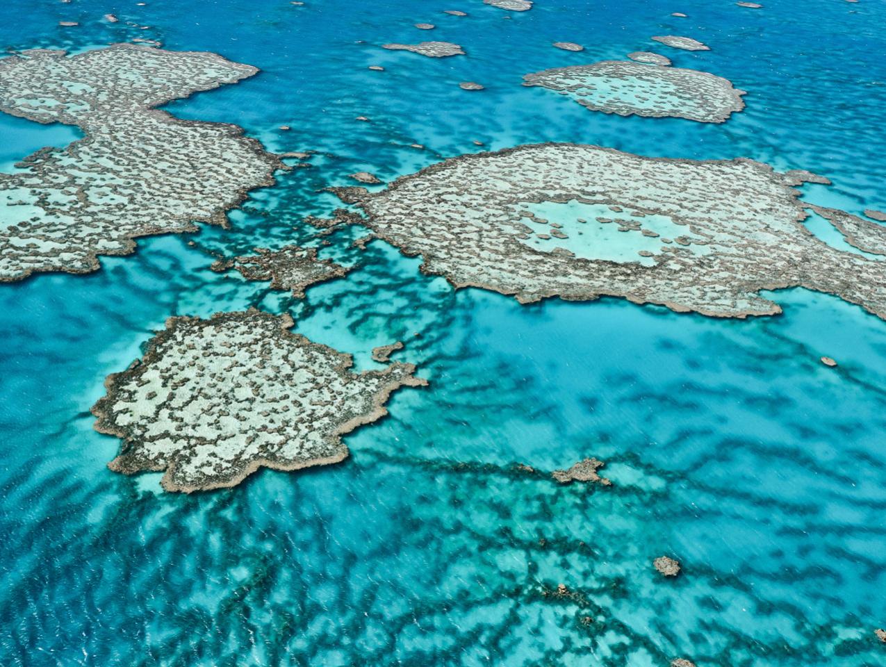 Great barrier reef australia