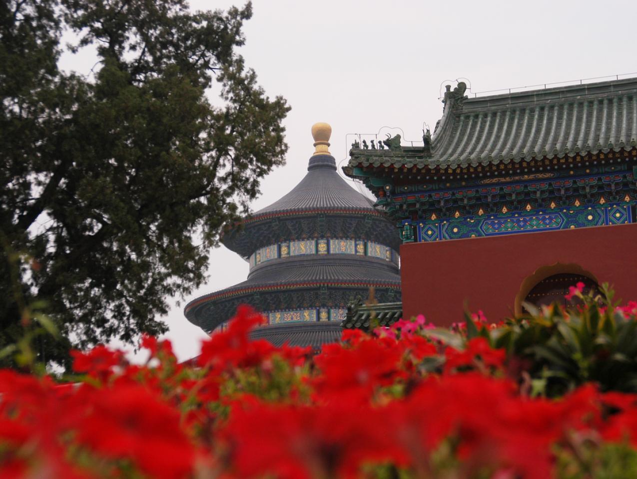 Temple of Heaven 3 - stock photo