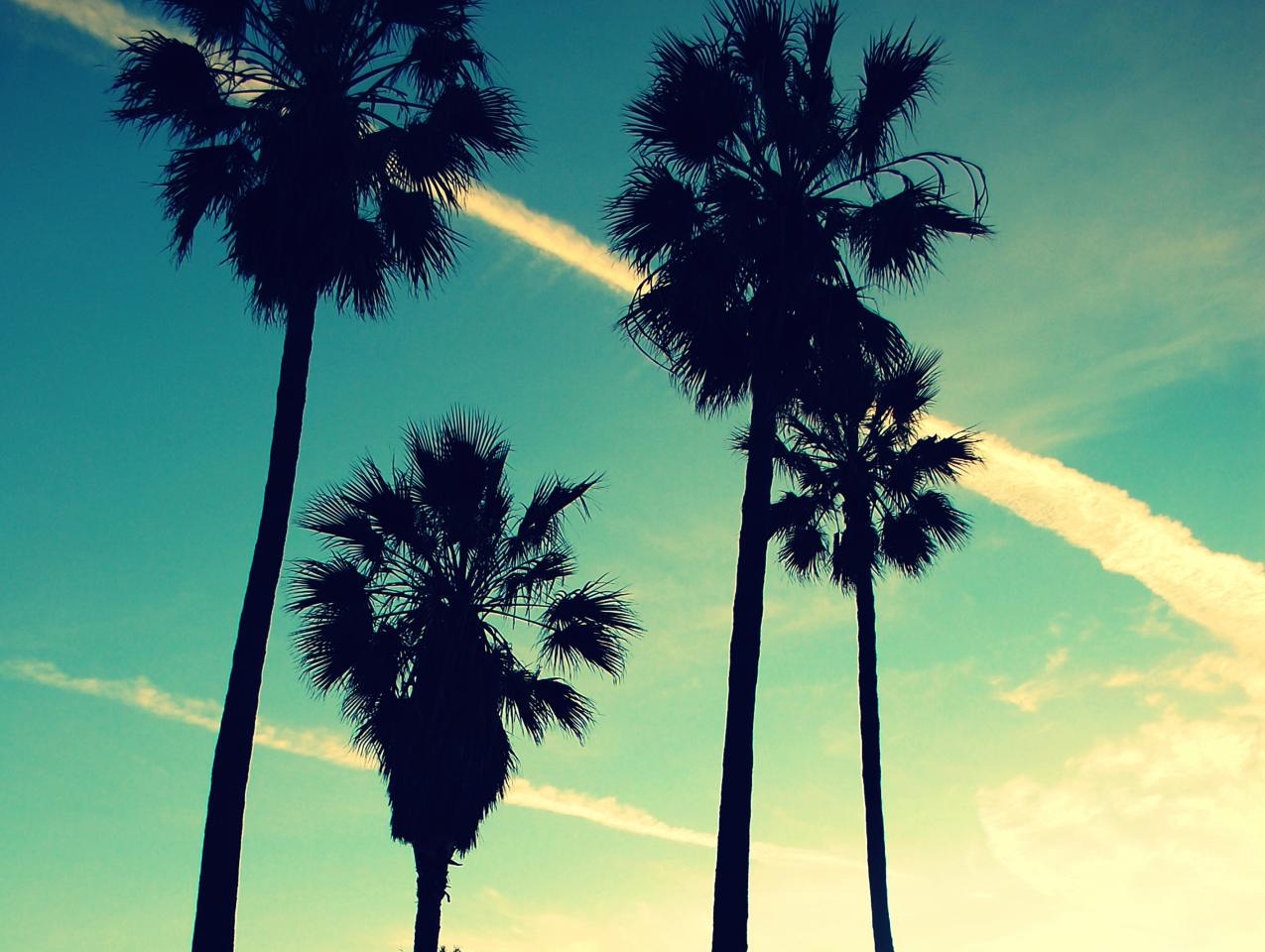 california shutterstock  image