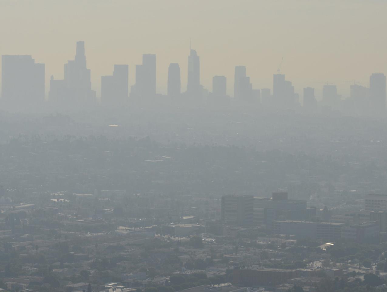 climate   image