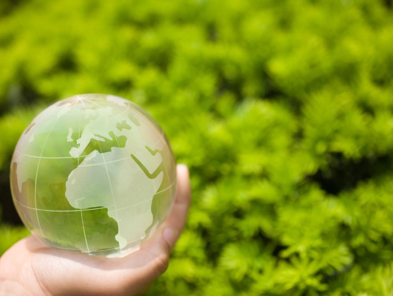 greenworld  image