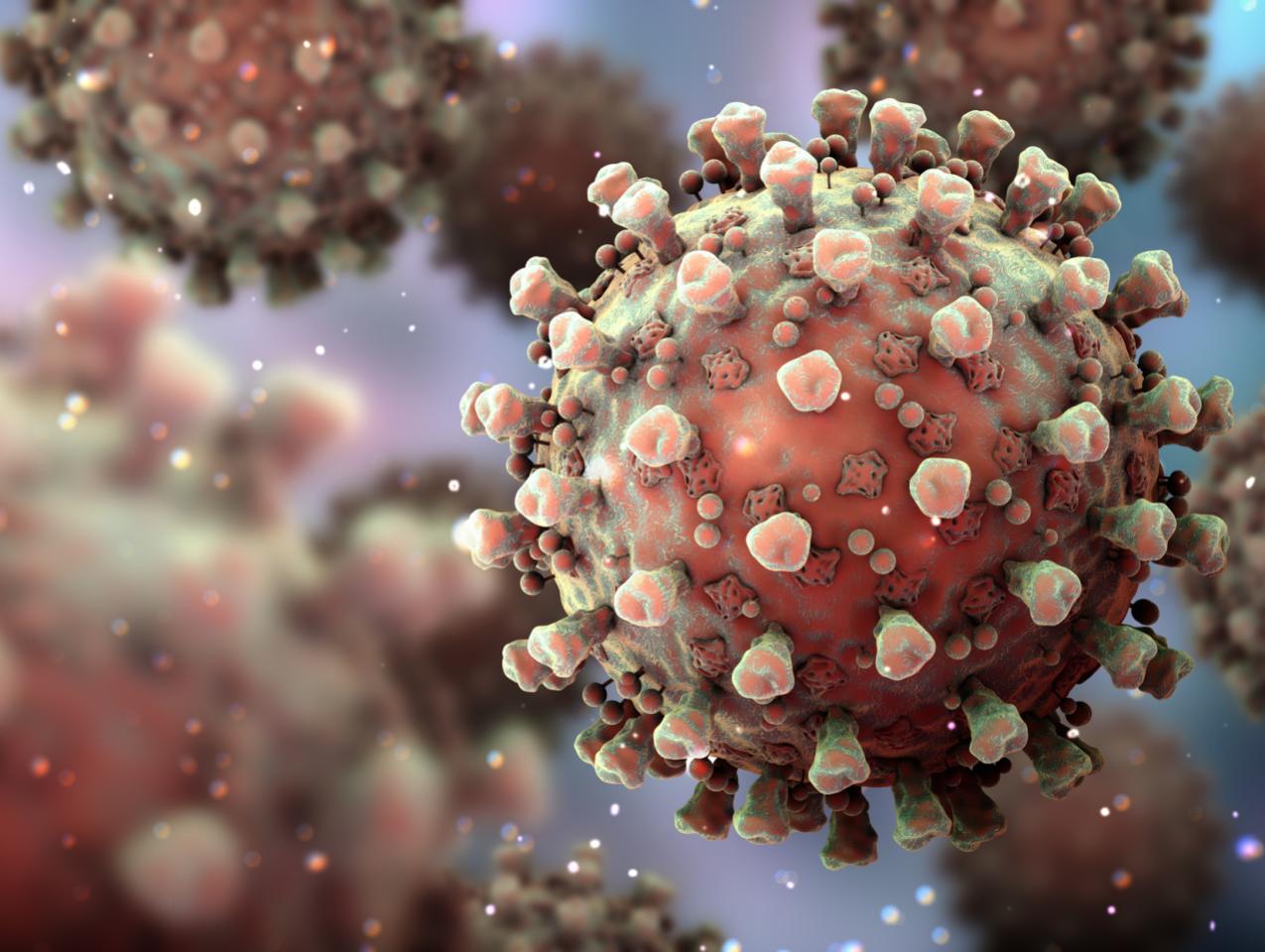 Coronavirus   image
