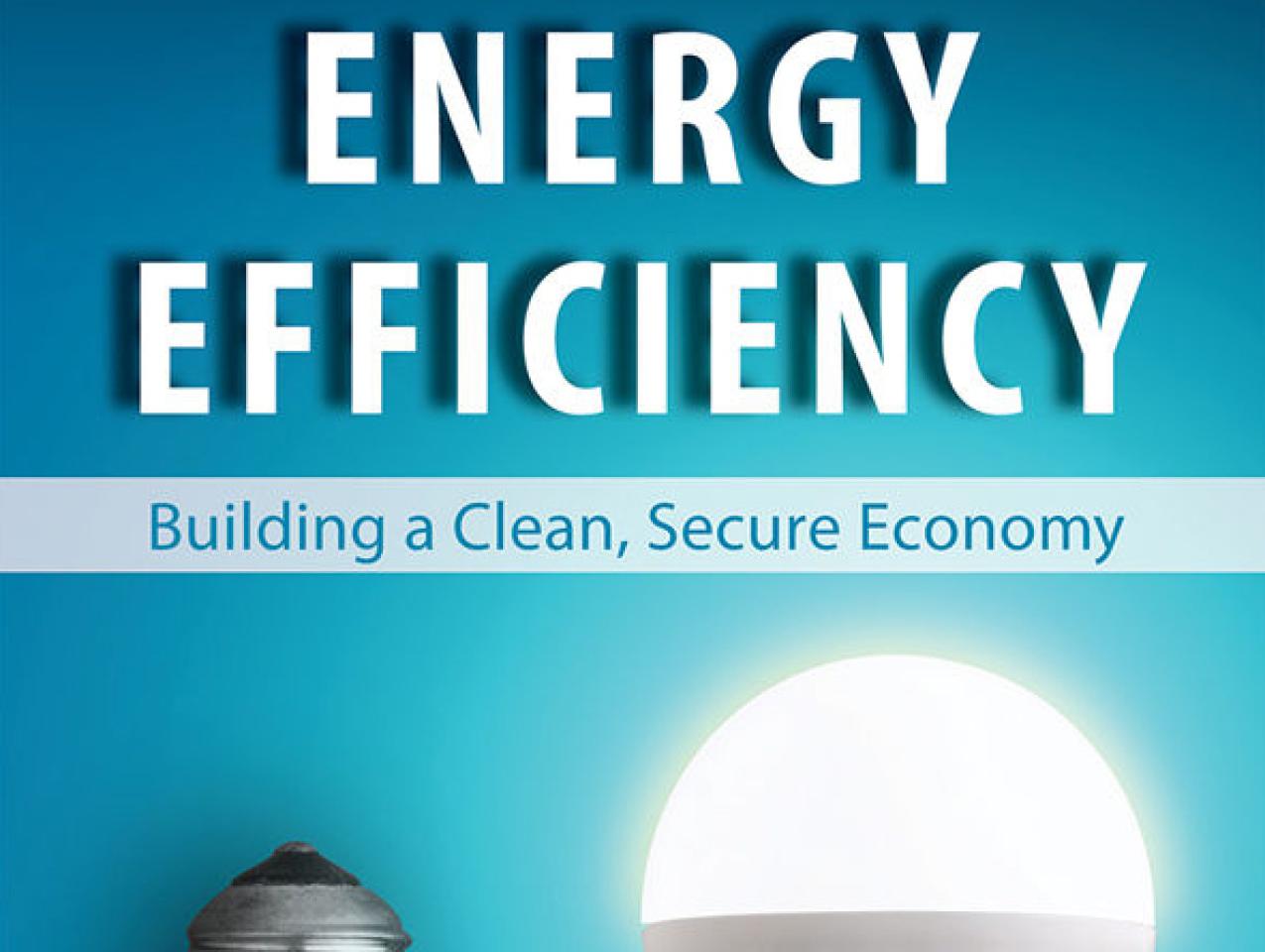 Energy Efficiency by James Sweeney